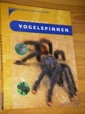 Vogelspinnen Kothe, Hans W.