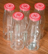 10 Glasflaschen mit Schraubverschluss , Aufbewahrungsgefäß, selbstgemachte Säfte