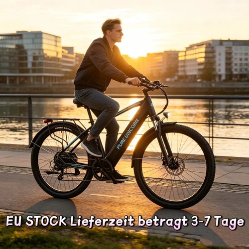 Zoll elektrofahrrad 750w - 29,