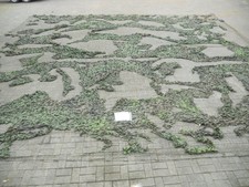 1x Tarnnetz 10,20 x 10,00 m