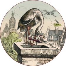 Ankunft mit dem Storch Kamin Geburt Glück Schützenscheibe 30cm 106