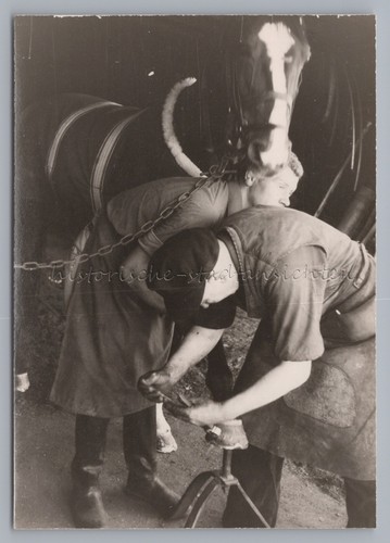 Hufschmied schmied landwirt - hufschmied,