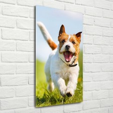 Wand-Bild Kunstdruck aus