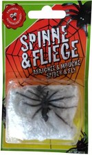 Spinne und Fliege