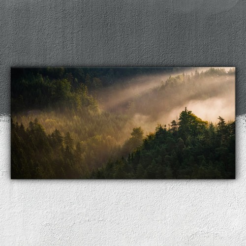 Sonnenaufgang nebel wald - sonnenaufgang,