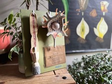 Vintage Somso NEURON Bildungsmodell Medizinschule montiert Relief NERVENZELLE