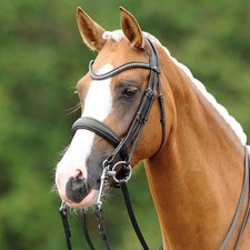 Passier Schwarz/Edelstahl Vollblut Kandare PASSIERBLU Dream Kandarenzaum