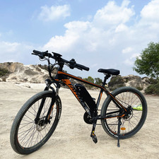 Elektrofahrrad 26 Zoll E-Bike