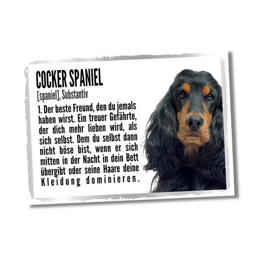 Cocker spaniel duden - hund, dog