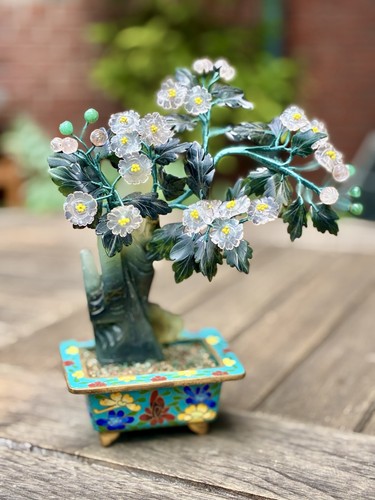 Edelsteinbaum jade - edelsteinbaum, /