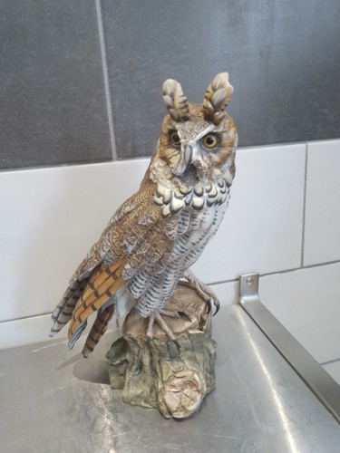 Langohreule long eared - langohreule,, owl