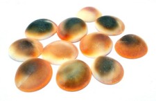 GESAMTANZAHL GOMATI CHAKRA -