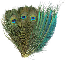 40 Stück Basteln Deko Pfauen