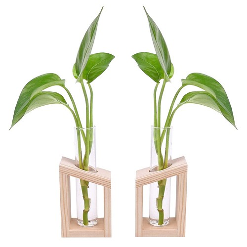 Stücke reagenzglas vase aus - 2,
