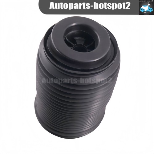 Rear air spring bag - rear,