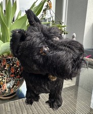 US Zone Steiff Scotty Hund