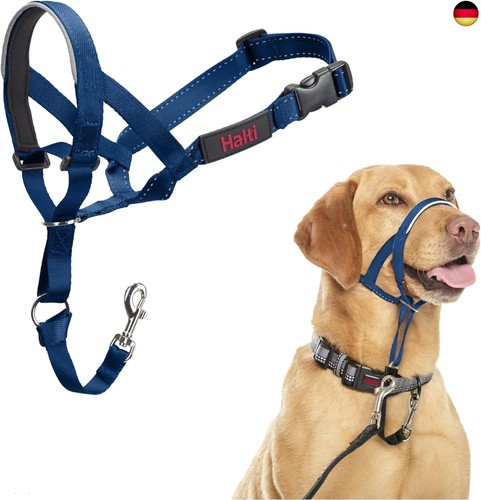 Head harness prevents your - harness,