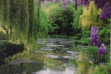 Foto Poster Bild Bilderrahmen Teich Garten DekoNatur Verwunschen