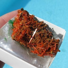 Mineralien Krokoit Rot IN