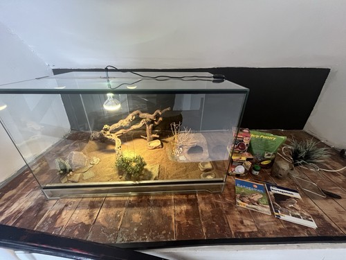 Glas terrarium 100x60x60 mit - 100x60x60,