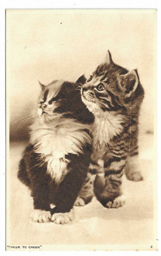 Fotochrome postkarte wange an - fotochrome,
