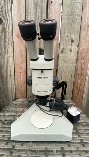 Wild heerbrugg m3z stereo zoom - m3z,