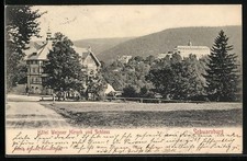 Ansichtskarte Schwarzburg, Hotel Weisser Hirsch und Schloss 