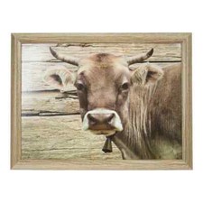 Knietablett Mars & More