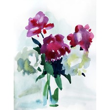 Blume Aquarell Pfingstrosen