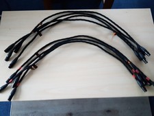 VOVOX Excelsus 1M XLRm XLRf X