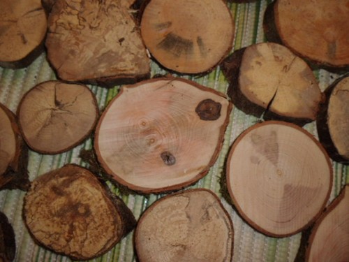 Holzscheiben kg - holzscheiben,, 3