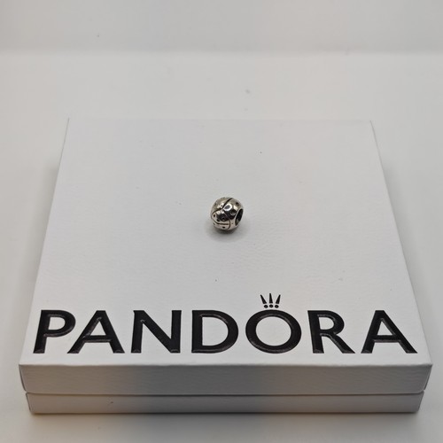 Pandora marienkäfer - pandora,