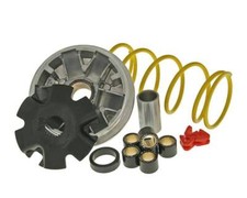 Variomatik Malossi Multivar