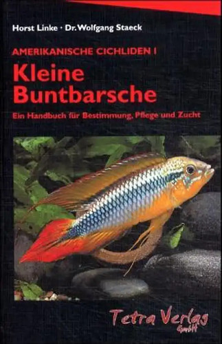 Amerikanische cichliden - amerikanische,