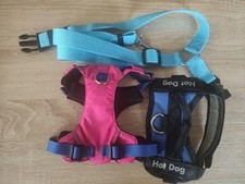 Hundezubehör Konvolut 2