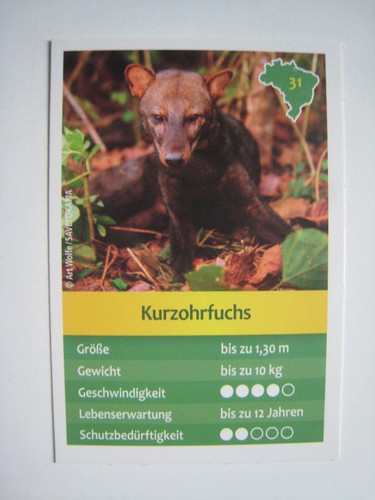 Entdecke brasilien - entdecke,