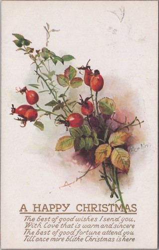 Weihnachts postkarte frohe - weihnachts, postkarte: