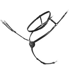 Passier Vorderzeug Ingrid