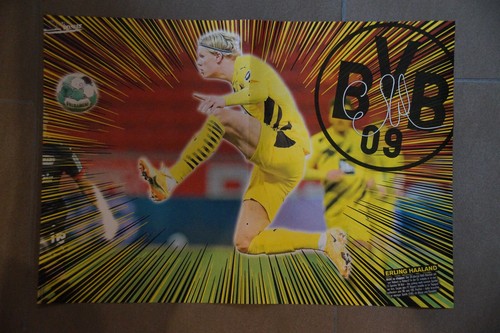 Erling haaland poster - poster, a3