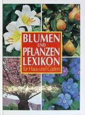 Blumen und pflanzen - blumen,