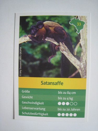 Entdecke brasilien - entdecke,