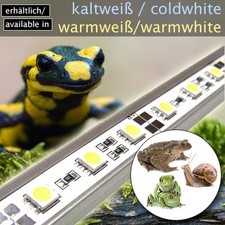 LED-BELEUCHTUNG TAGESLICHTSIMULATOR TERRARIUM/INSEKTARIUM AMPHIBIEN FROSCH TB6