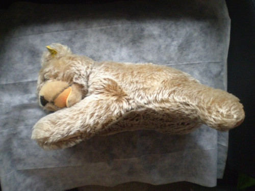 Steiff bär teddy - teddy, teddybär