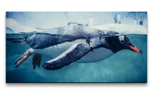 120x60cm leinwandbild pinguin - 120x60cm,