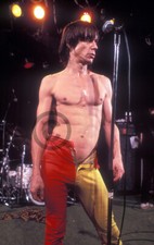 Iggy Pop 1982, rares 30x45cm