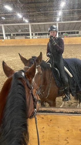 Reitsattel für pferd mit - reitsattel,