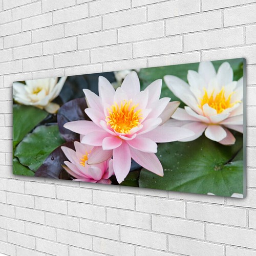 Glasbilder wandbild druck auf - wandbild,