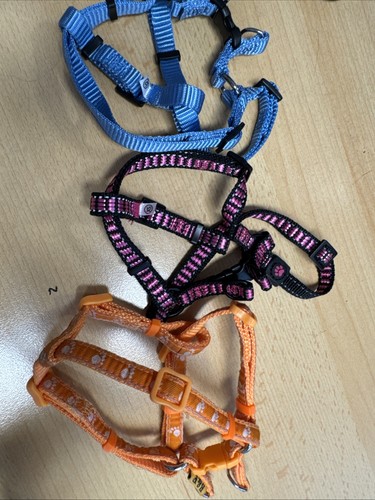 Hundegeschirr entweder blau - hundegeschirr,