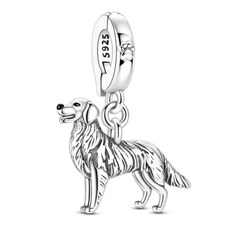 Golden retriever hund charm - golden,