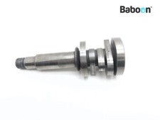 Nockenwelle Ducati Monster